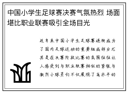 中国小学生足球赛决赛气氛热烈 场面堪比职业联赛吸引全场目光